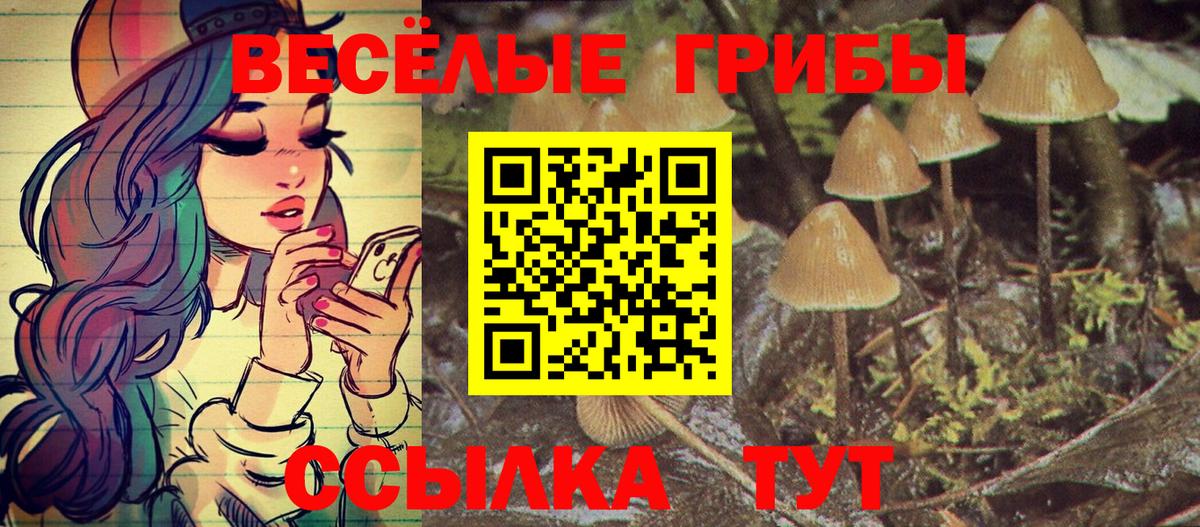 Псилоцибиновые грибы MAGIC MUSHROOMS Северск