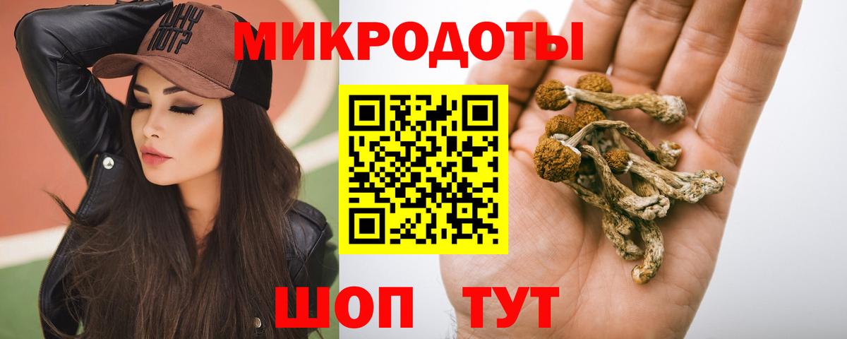 Галлюциногенные грибы Psilocybe  Вход с VPN  Северск 